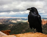 «Академия для малышей». Цикл музейных занятий