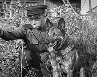 «Маленькие герои большой войны». Музейное занятие ко Дню Победы